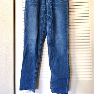American Eagle High Rise Straight Leg Jeans